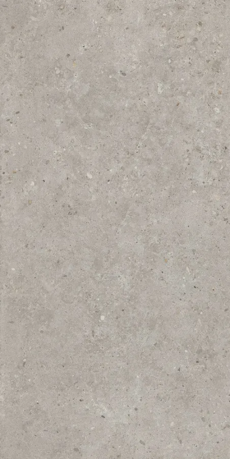 Риккарди серый светлый матовый обрезной 60х119,5 