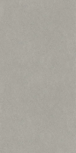 Джиминьяно серый матовый обрезной 60х119,5