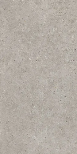 Риккарди серый светлый матовый обрезной 60х119,5