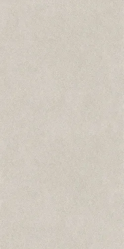 Джиминьяно серый светлый матовый обрезной 60х119,5