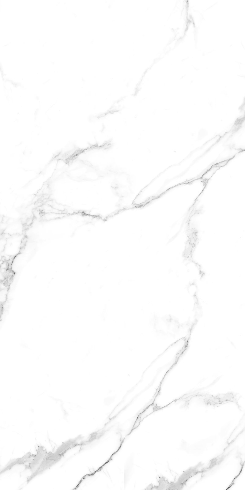 Caribbean 60x120 PR White Maimoon