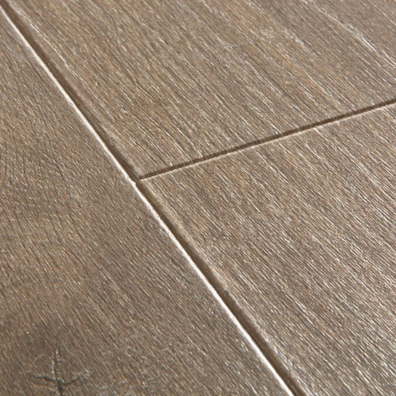 Quick-Step Majestic Дуб лесной массив коричневый 