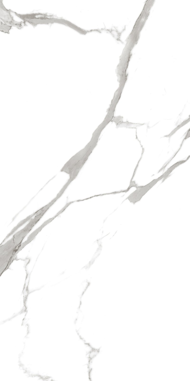 Satuario 60x120 PR Bianco Maimoon