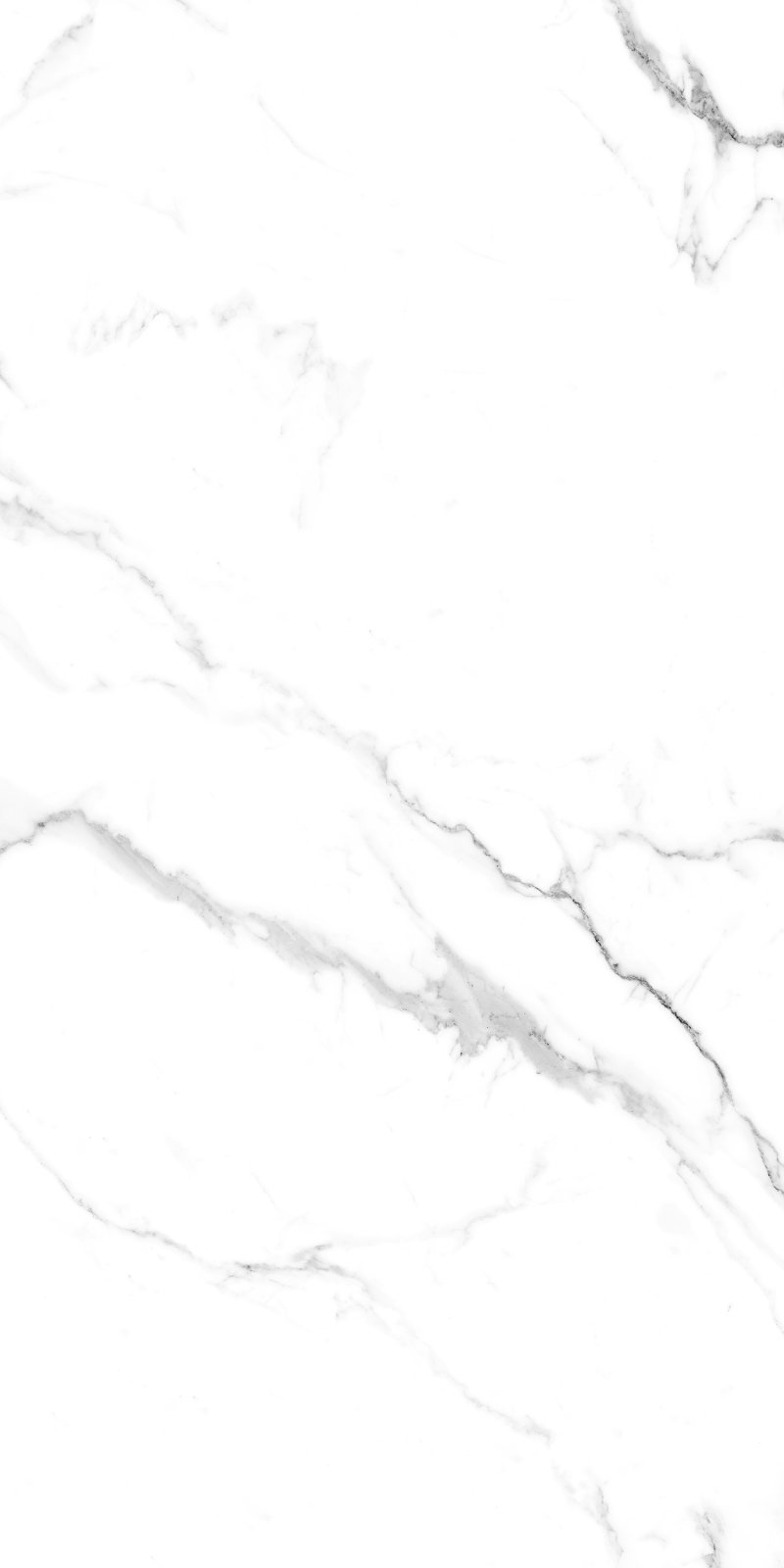 Caribbean 60x120 PR White Maimoon
