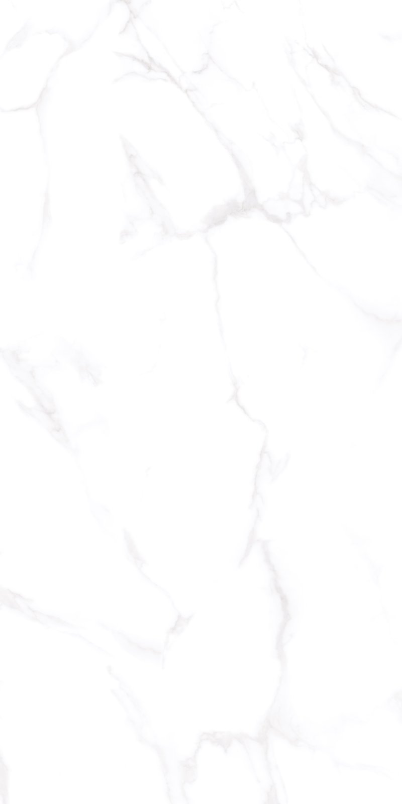 Традиция 60x120 Карвинг Vizavi Ceramica (TRDCY-12K\BJ12590)