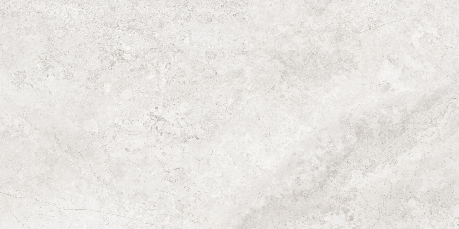 Плитка керамогранитная AZARIO CALLIZA SILVER 60х120 Matt (F4110821130M) 