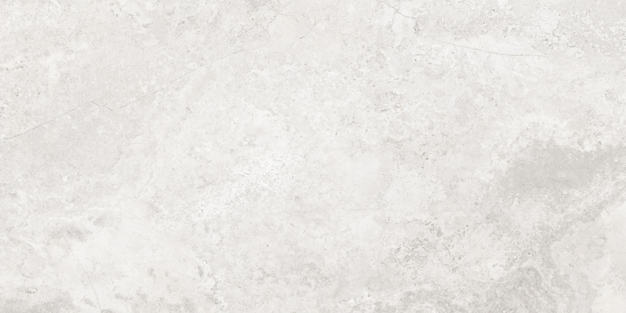 Плитка керамогранитная AZARIO CALLIZA SILVER 60х120 Matt (F4110821130M) 