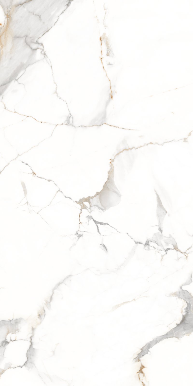 Statuario 60x120 PR Cafe Gold Maimoon