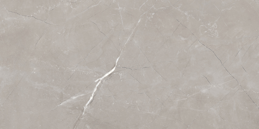Vitrum Grigio Керамогранит серый 60x120 полированный 