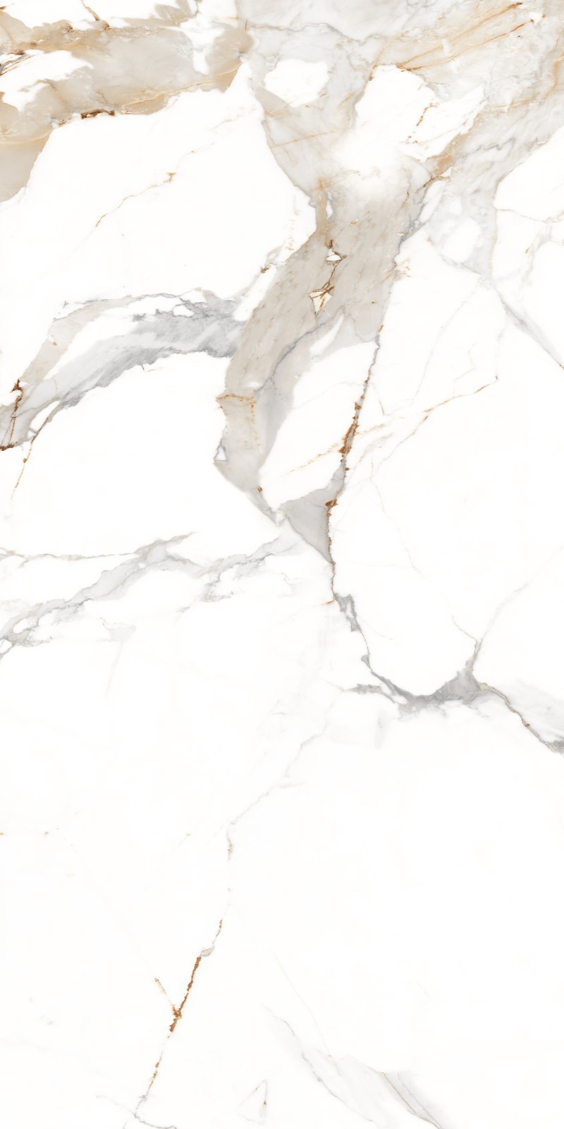 Statuario 60x120 PR Cafe Gold Maimoon
