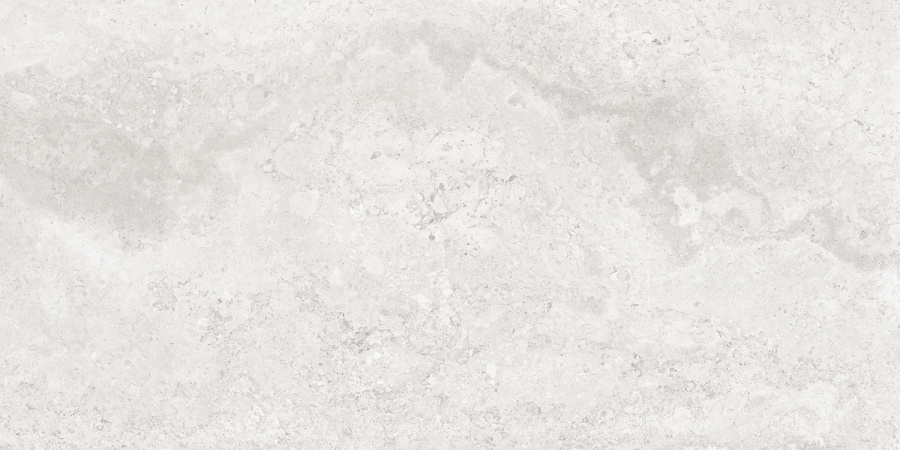 Плитка керамогранитная AZARIO CALLIZA SILVER 60х120 Matt (F4110821130M) 