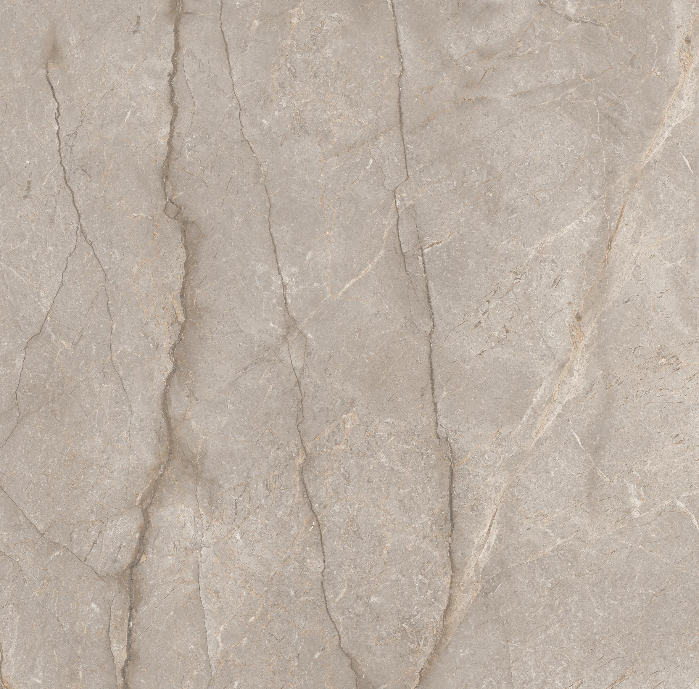 Season Grey CARVING EMPERO Керамогранит 60x60