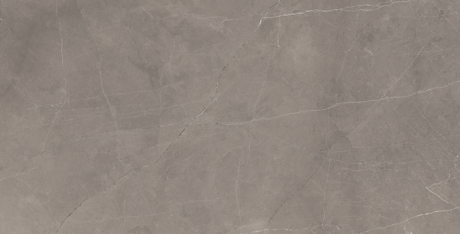 Splash Grey Керамогранит серый 60х120 Сатинированный Карвинг 