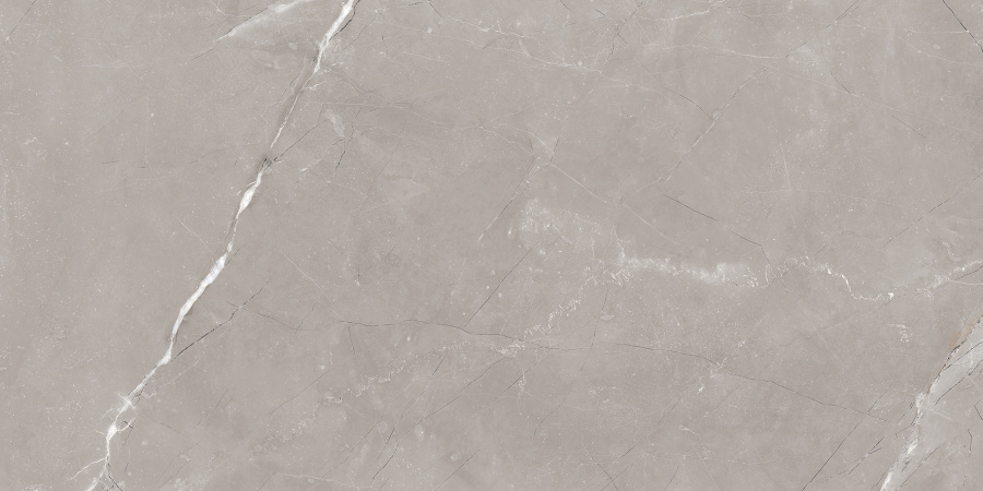 Vitrum Grigio Керамогранит серый 60x120 полированный 