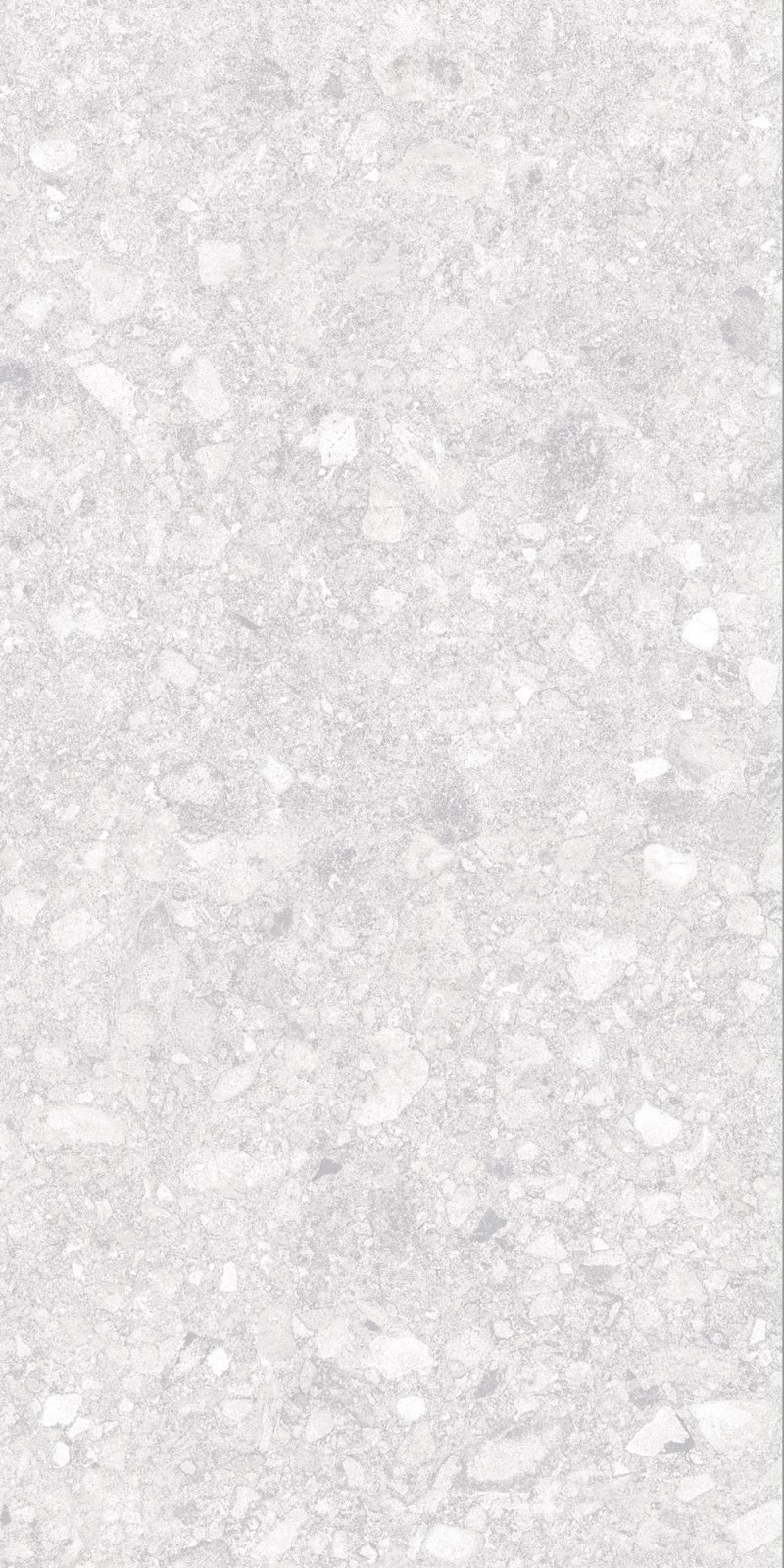 Граните Герда 60x120 MR Белый Idalgo