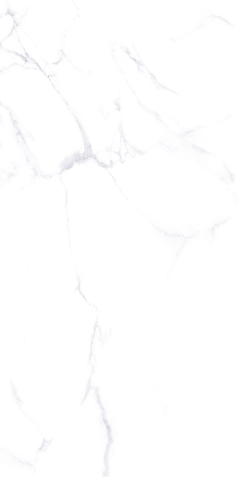 Холст 60x120 PR Vizavi Ceramica (HOLST-13P\L12605)