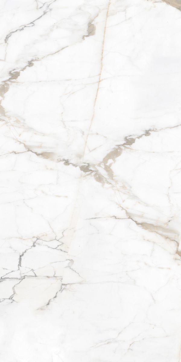 Граните Паллисандро 60x120 SR Золото Idalgo