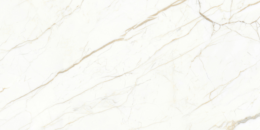 Europa Gold l Керамогранит белый 60x120 Матовый Карвинг 