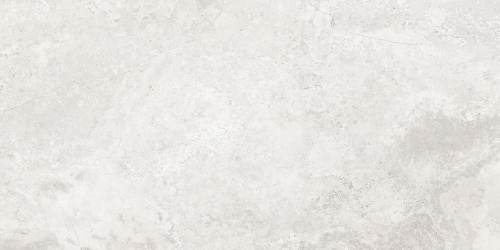 Плитка керамогранитная AZARIO CALLIZA SILVER 60х120 Matt (F4110821130M)