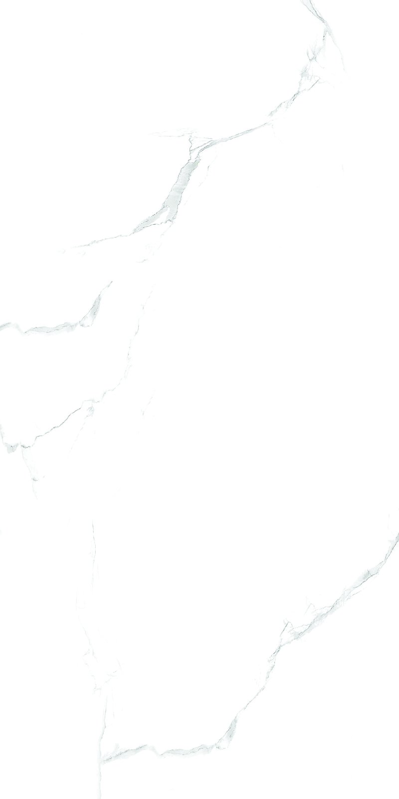Satuario 60x120 PR Silver Maimoon